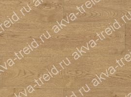 Сreation-70-0260
